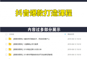 抖音爆款打造21天训练营，涨粉实战课程-多课资源站