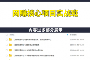 暴利网赚核心项目实战班，大佬讲课实战解析-多课资源站