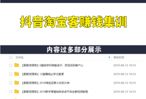 抖音淘宝客赚钱集训，简单操作月入万元-多课资源站