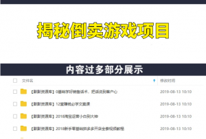 揭秘倒卖游戏项目，月入过万，新手大众项目！-多课资源站