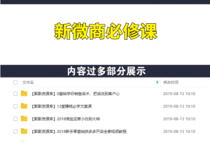 14节新微商必修课，拒绝囤货，拒绝刷屏学完即赚的-多课资源站