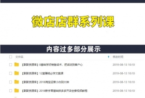 0成本微店店群系列课-多课资源站
