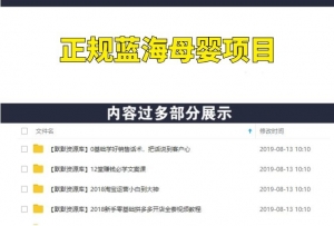正规蓝海母婴项目,日赚500-1000+-多课资源站