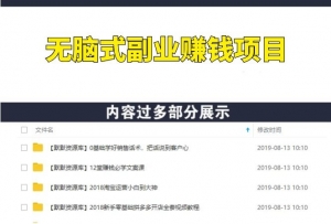 月入十万—无脑式副业赚钱项目（项目资料+教程）-多课资源站