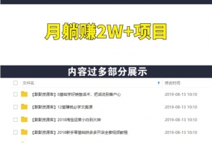 月躺赚2W+项目：带你过肥年共5节视频，附源码价值3298元-多课资源站