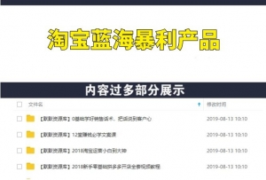 淘宝蓝海暴利产品操盘，单店利润在几千到几万-多课资源站