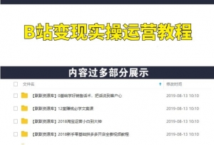 B站网赚变现实操运营教程，教你从零到20万精准粉-多课资源站