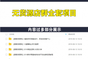 2020年最新1688超级蓝海无货源店群全套项目-多课资源站