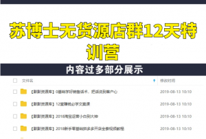 苏博士无货源店群12天特训营：单店铺轻松月入6000+-多课资源站