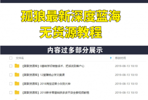 孤狼最新深度蓝海无货源教程-多课资源站