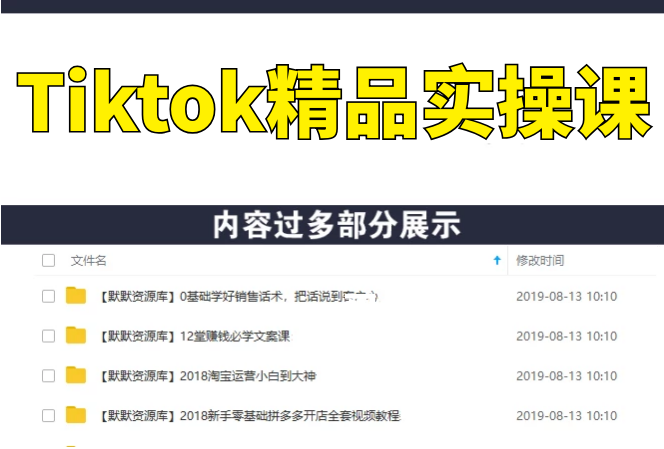 Tiktok精品实操课，单账号最高210W粉丝-多课资源站