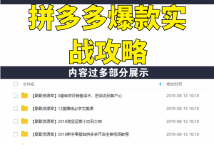 拼多多爆款实战攻略：中小卖家也能做出爆款，日销10000单 月入10W+(无水印)-多课资源站