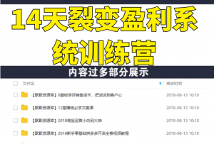 14天裂变盈利系统训练营：靠裂变营销实现30天收款1200万（无水印）-多课资源站