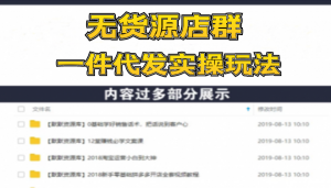 从0起步做无货源店群一件代发实操玩法：新手快速进入电商领域（40节视频）-多课资源站