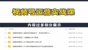 视频号运营实战课，带你深度入手微信视频号1.0，从0粉丝开始快速涨粉变现-多课资源站