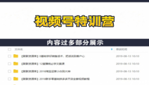 视频号特训营，从零启动视频号30天，全营变现5.5万元【价值799元】无水印-多课资源站