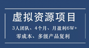 虚拟资源项目-新手、3个团队 4个月 月盈利6W+零成本、多级产品复利-多课资源站