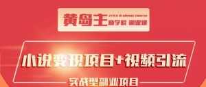 黄岛主小说变现副业项目：老项目新玩法，视频被动引流躺赚模式-多课资源站