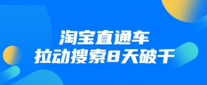 进阶战速课：淘宝直通车拉动搜索8天破千（视频课程）无水印-多课资源站