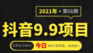 抖音9.9课程项目，没粉丝也能卖课，一天300+粉易变现-多课资源站