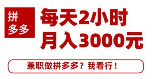 搜外网·拼多多副业课程，每天2小时月入3000元 学习这门课程真的能赚钱-多课资源站