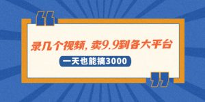录几个视频，卖9.9到各大平台，一天也能搞3000+-多课资源站
