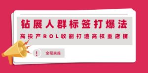 钻展人群标签打爆法，高投产ROL收割打造高权重店铺(全程实操)-多课资源站