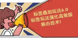 鬼式标签叠加玩法6.0-标签玩法强化高效版，核心技术！-多课资源站