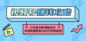 玩转微信视频号赚钱：小白变大咖涨粉百万实现快速变现1000万的现金流-多课资源站