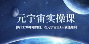 元宇宙实操课：你打工30年赚的钱，在元宇宙里1天就能赚到-多课资源站