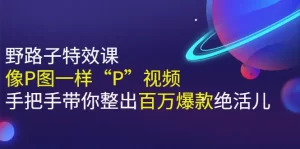 《野路子特效课：像P图一样“P”视频》手把手带你整出百万爆款绝活儿-多课资源站