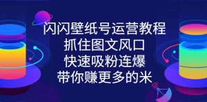 闪闪壁纸号运营教程，抓住图文风口，快速吸粉连爆，带你赚更多的米-多课资源站