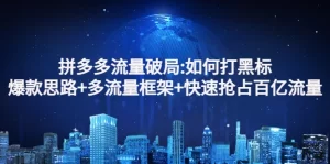 拼多多流量破局:如何打黑标，爆款思路+多流量框架+快速抢占百亿流量-多课资源站