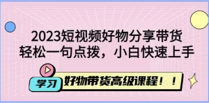 2023短视频好物分享带货，好物带货高级课程，轻松一句点拨，小白快速上手-多课资源站