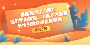 最新淘宝引力魔方低价引流实操：小成本大流量，低价引流快速拉新收割-多课资源站
