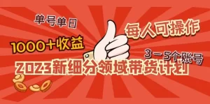 2023新细分领域带货计划：单号单日1000+收益不难，每人可操作3-5个账号-多课资源站