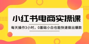 小红书·电商实操课：每天操作3小时，0基础小白也能快速做出爆款！-多课资源站