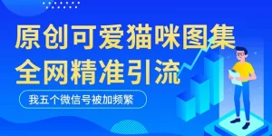 黑科技纯原创可爱猫咪图片，全网精准引流，实操5个VX号被加频繁-多课资源站