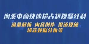 淘系电商快速抢占短视频红利：流量解析 内容创作 渠道投放 爆款数据分析等-多课资源站