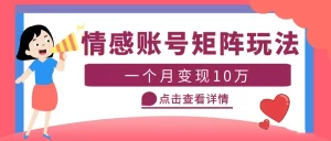 云天情感账号矩阵项目，简单操作，月入10万+可放大（教程+素材）-多课资源站