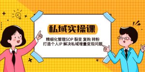 私域实战课程：精细化管理SOP 裂变 复购 转粉 打造个人IP 私域增量变现问题-多课资源站