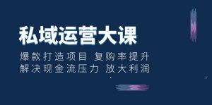 私域运营大课：爆款打造项目 复购率提升 解决现金流压力 放大利润-多课资源站