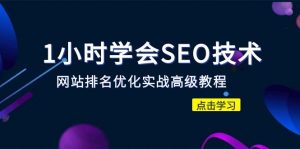 1小时学会SEO技术 网站排名优化实战高级教程-秒杀市面95%收费几千的SEO教程-多课资源站