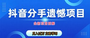 自媒体抖音分手遗憾项目私域项目拆解-多课资源站