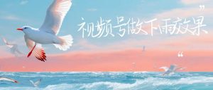 视频号做下雨视频，一个账号一周涨粉10W+，日入1000+，附保姆级教程-多课资源站
