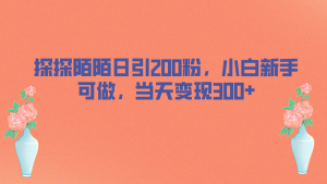 探探陌陌日引200粉，小白新手可做，当天就能变现300+-多课资源站