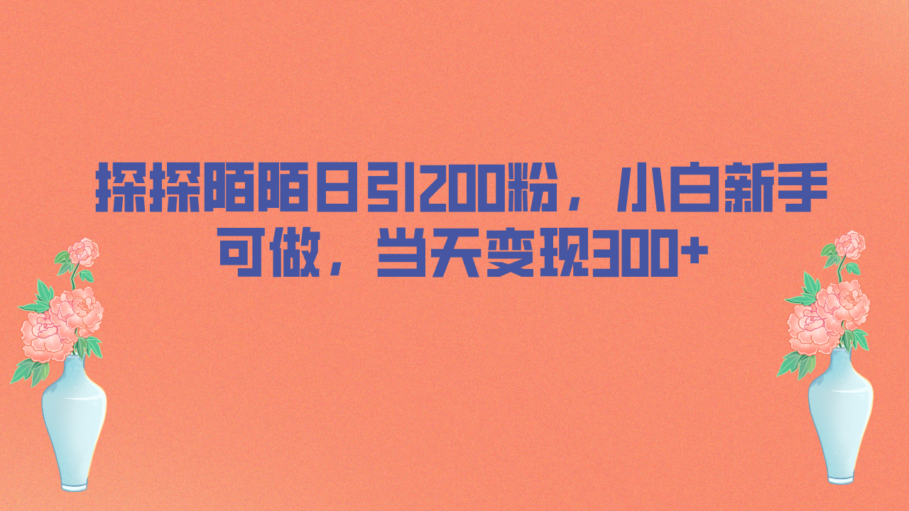 探探陌陌日引200粉，小白新手可做，当天就能变现300+-网课资源站