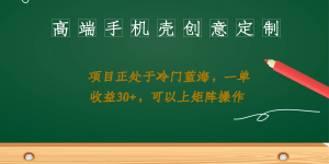 高端手机壳创意定制，项目正处于蓝海，每单收益30+，可以上矩阵操作-多课资源站