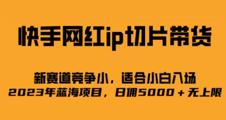 快手网红ip切片新赛道，竞争小事，适合小白 蓝海项目-好课945知识付费商城