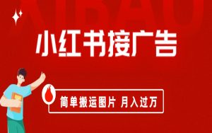 小红书接广告月入过万，简单搬运图片，新手小白快速上手-多课资源站